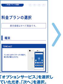 「オプションサービス」を選択していただき、「次へ」を選択。