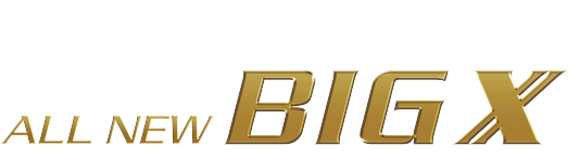 ALL NEW BIG X
