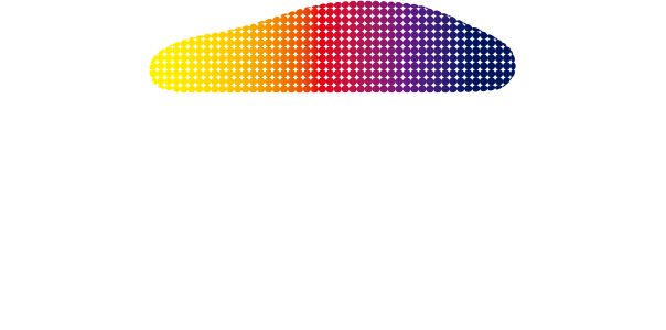TOKYO AUTO SALON 2019