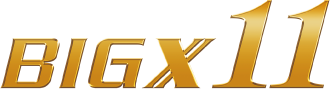 BIG X11