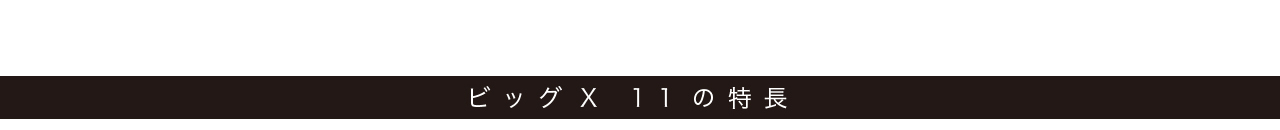 ビッグX 11の特長