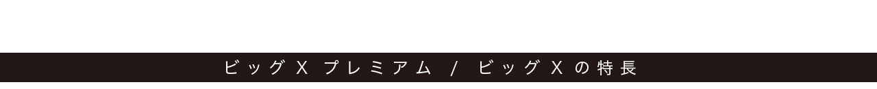 ビッグX プレミアム / ビッグXの特長