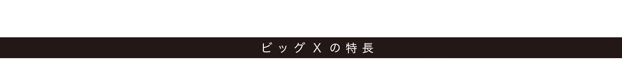 ビッグXの特長