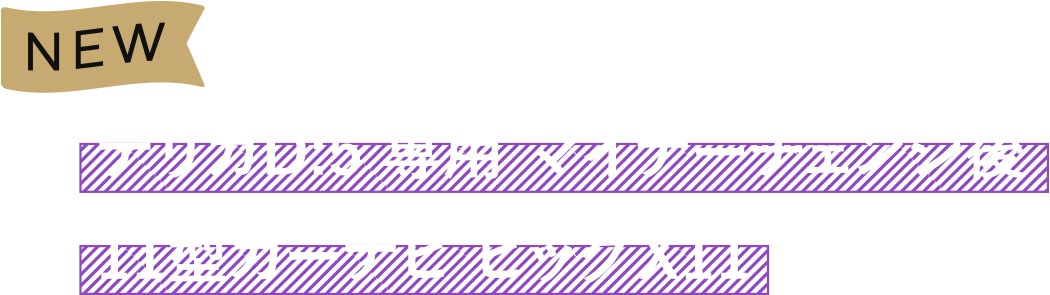 NEW デリカD:5 専⽤ マイナーチェンジ後 11型カーナビ ビッグX11