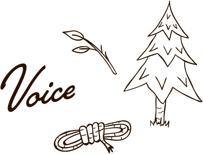 Voice