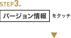 STEP3 バージョン情報をタッチ