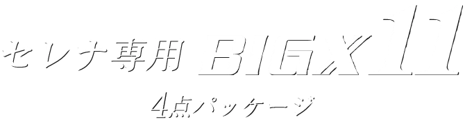 セレナ専用BIG X11 4点パッケージ