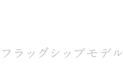 フラッグシップモデル